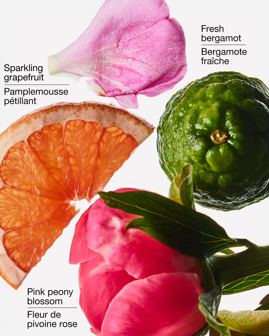 Ray Of Sunshine Wallflowers Fragrance Refill image 2