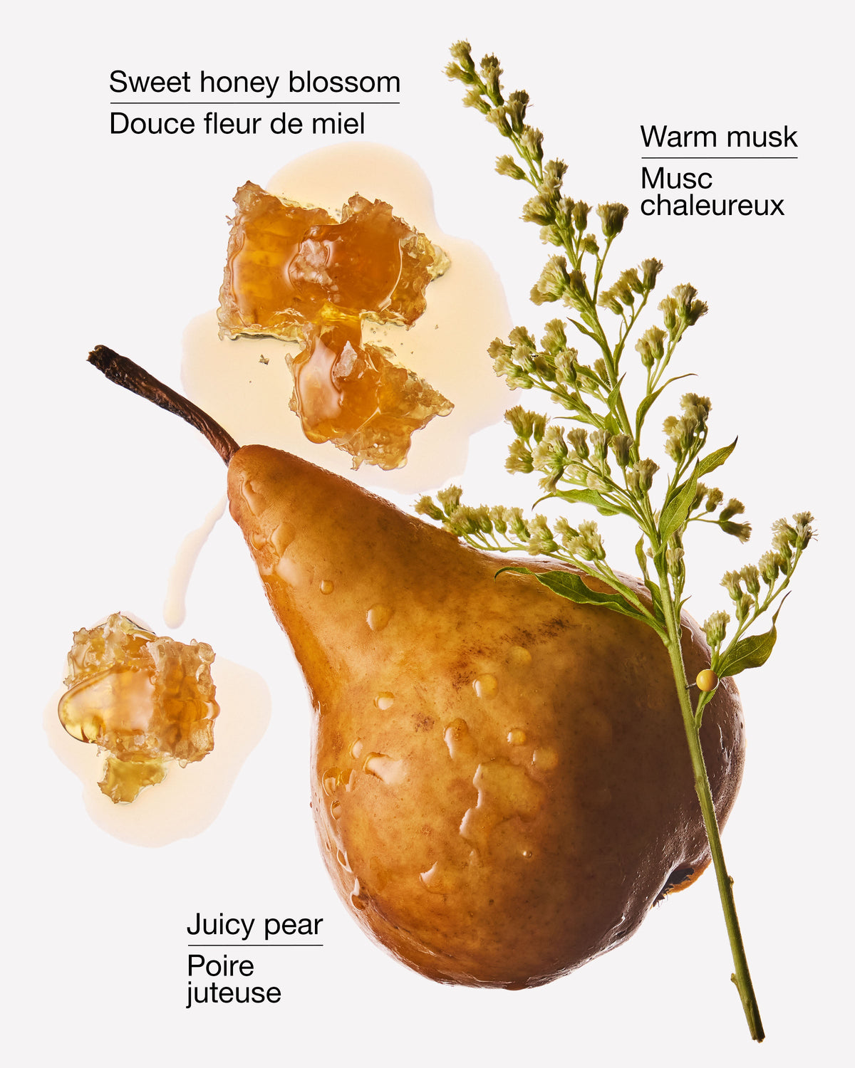 Golden Pear & Honey Wallflowers Fragrance Refill image 2