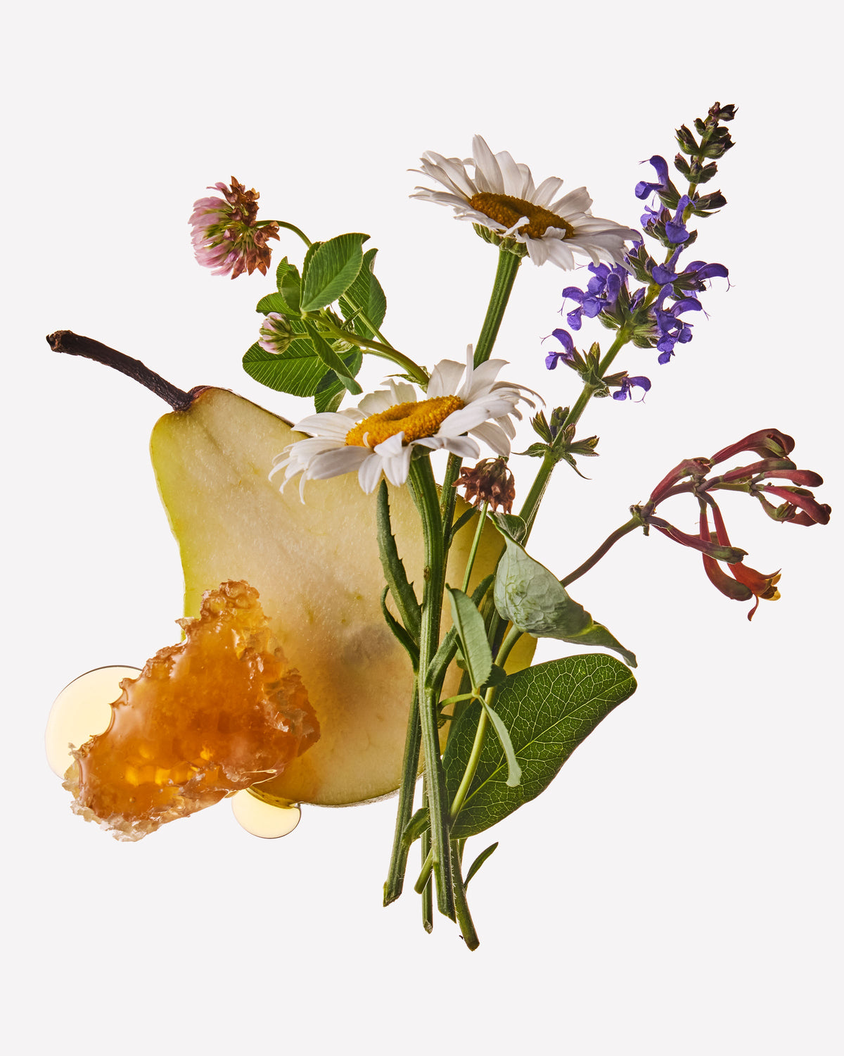 Honey Wildflower Moisturizing PocketBac Hand Sanitizer image 2