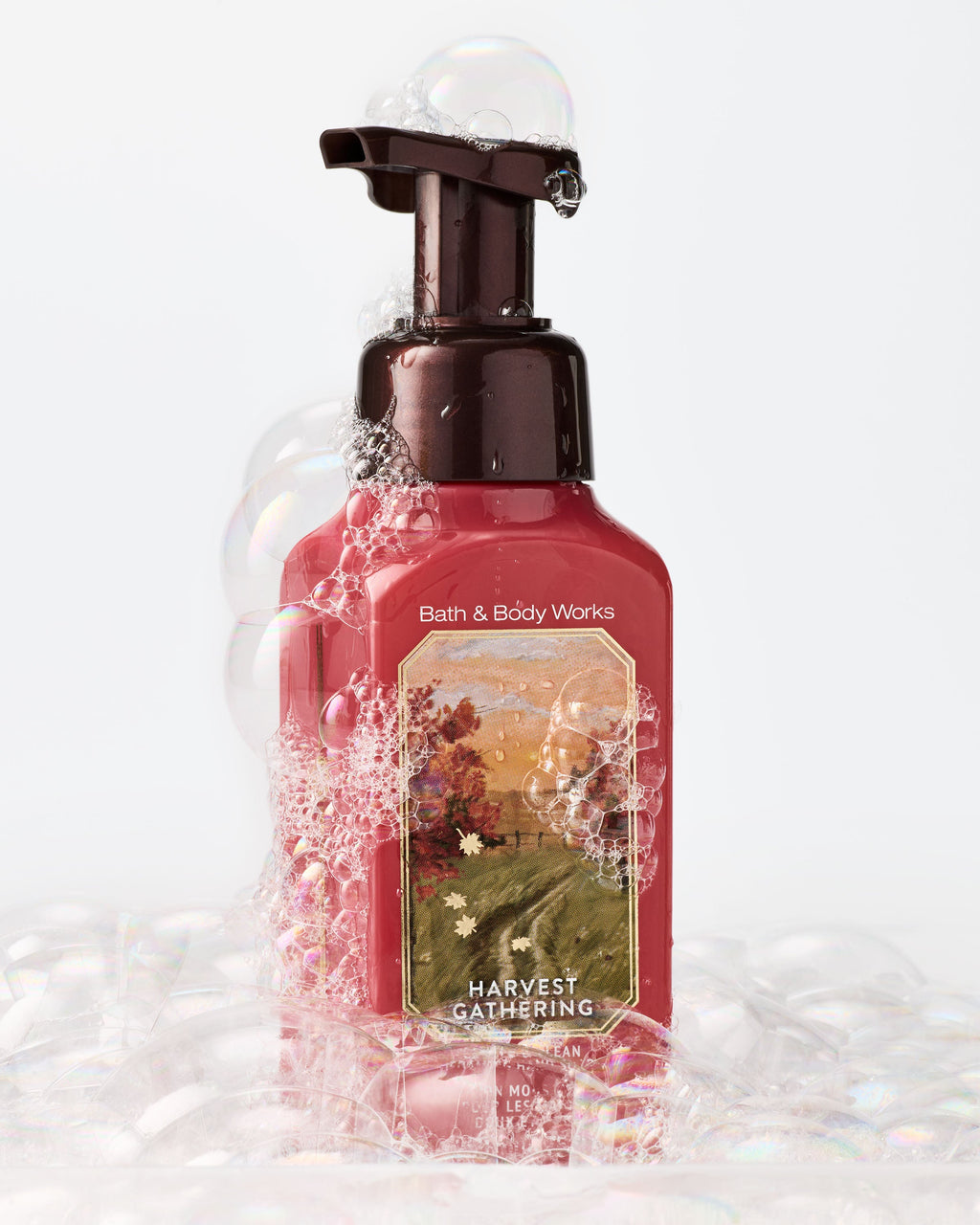 Harvest Gathering Gentle & Clean Foaming Hand Soap image 2