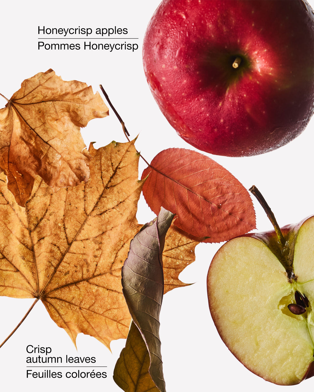 Honeycrisp Hayride Gentle & Clean Foaming Hand Soap image 3
