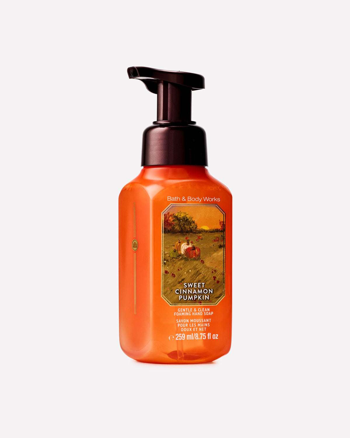 Sweet Cinnamon Pumpkin Gentle & Clean Foaming Hand Soap