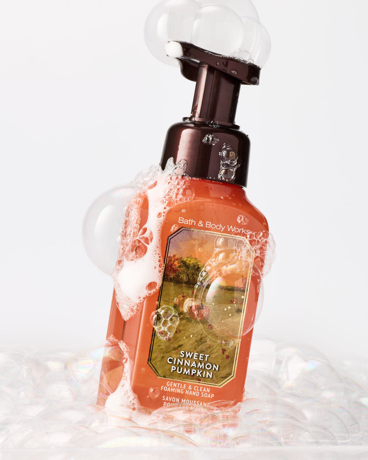 Sweet Cinnamon Pumpkin Gentle & Clean Foaming Hand Soap image 2