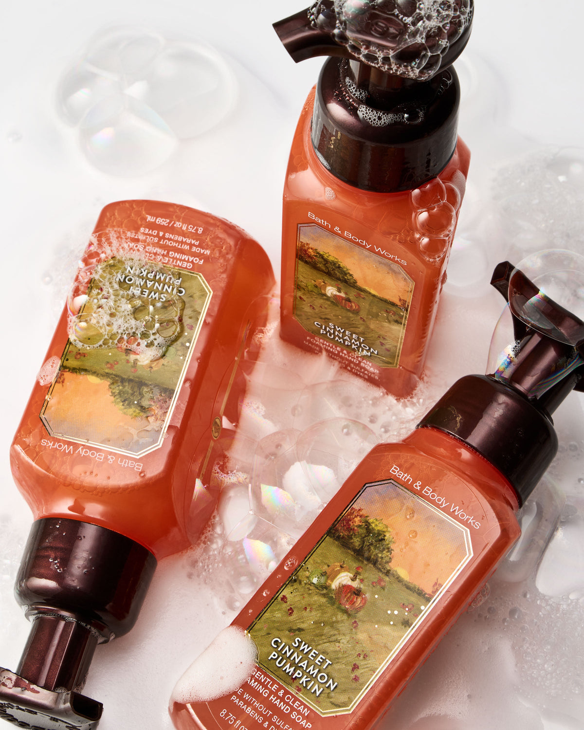 Sweet Cinnamon Pumpkin Gentle & Clean Foaming Hand Soap image 4