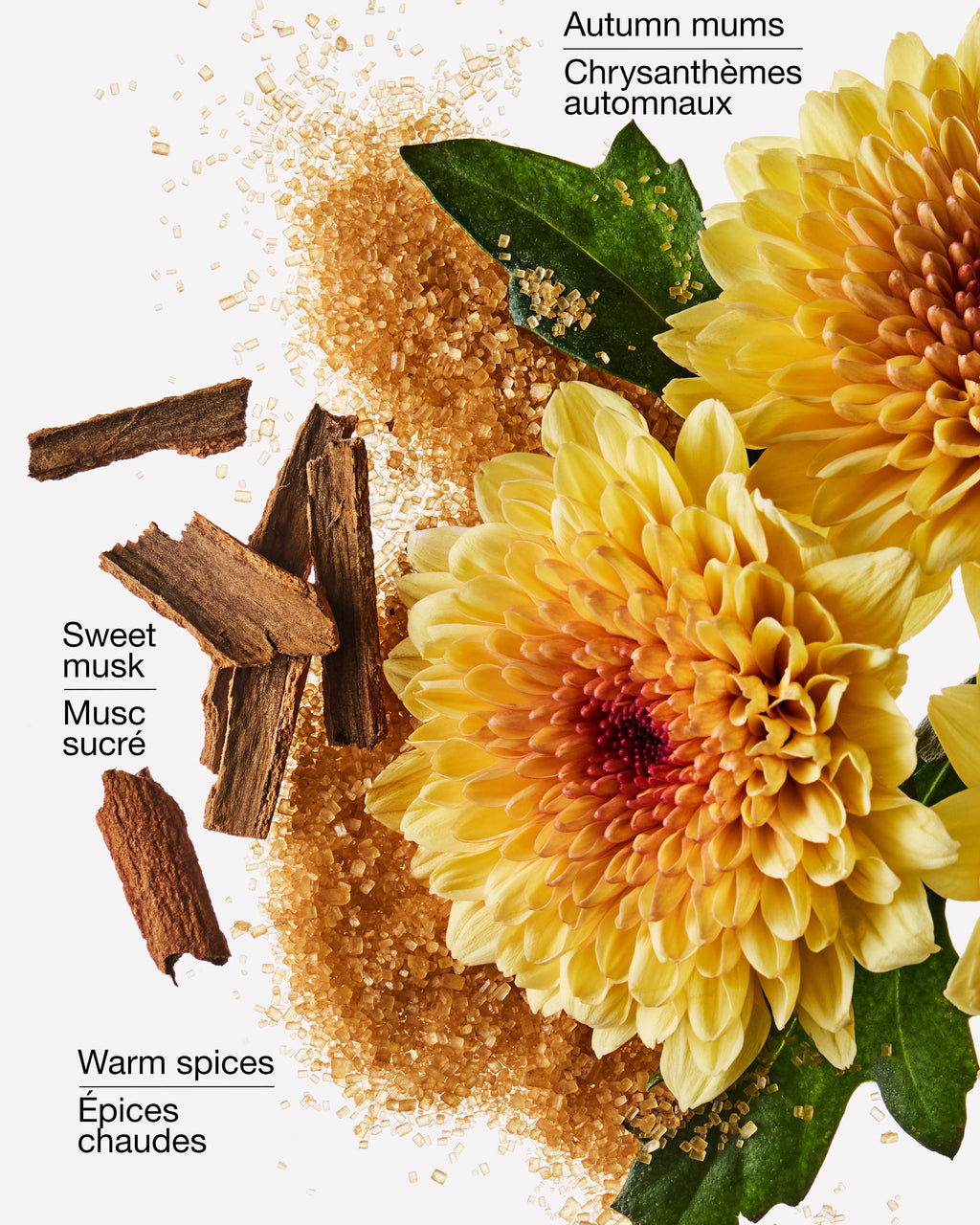 Sweet Mum Blossom Gentle & Clean Foaming Hand Soap image 3