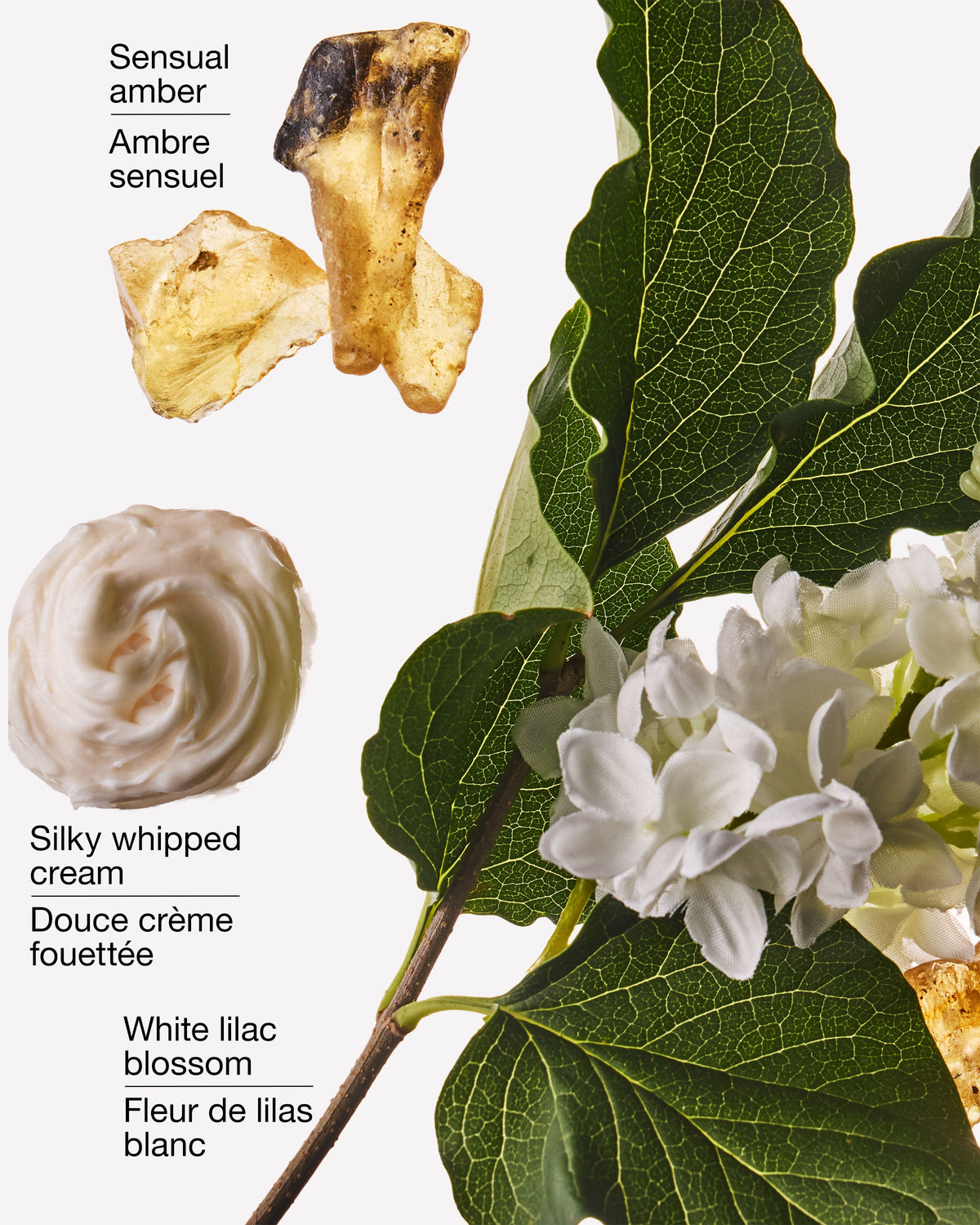 Milk & Musk Wallflowers Fragrance Refill image 2