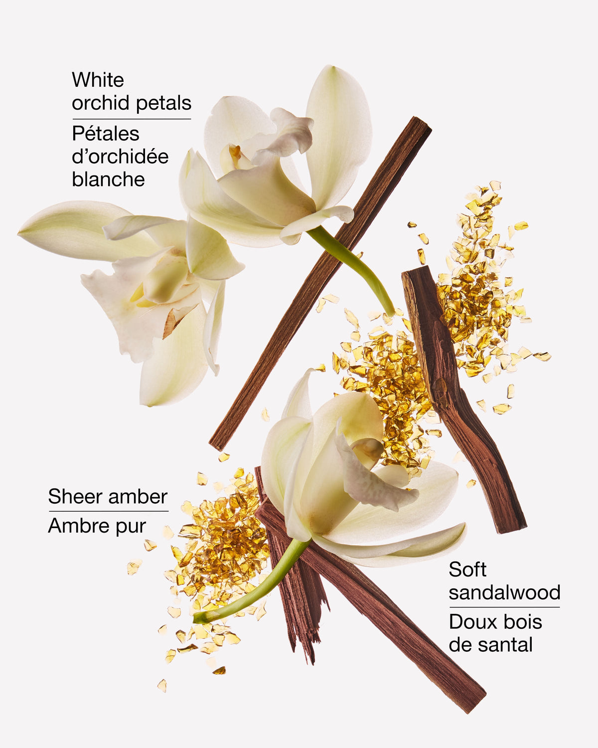 Dreamy Amber Wallflowers Fragrance Refill image 2