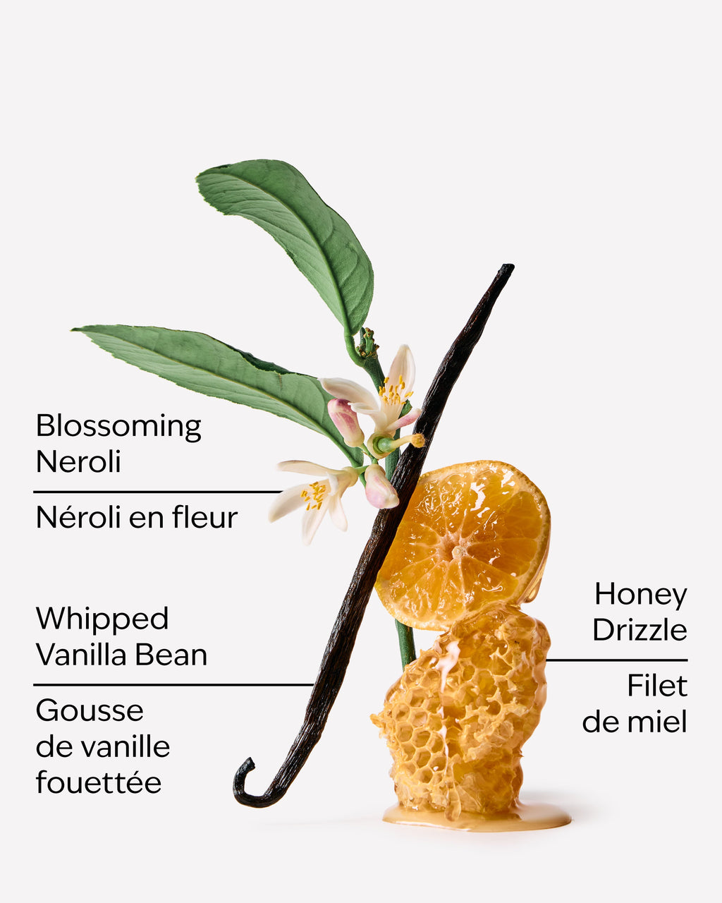 Whipped Honey & Vanilla PocketBac Hand Sanitizer image 2