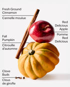 Pumpkin Apple 3-Wick Candle image 3