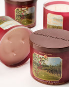 Afternoon Apple Picking 3-Wick Candle image 2