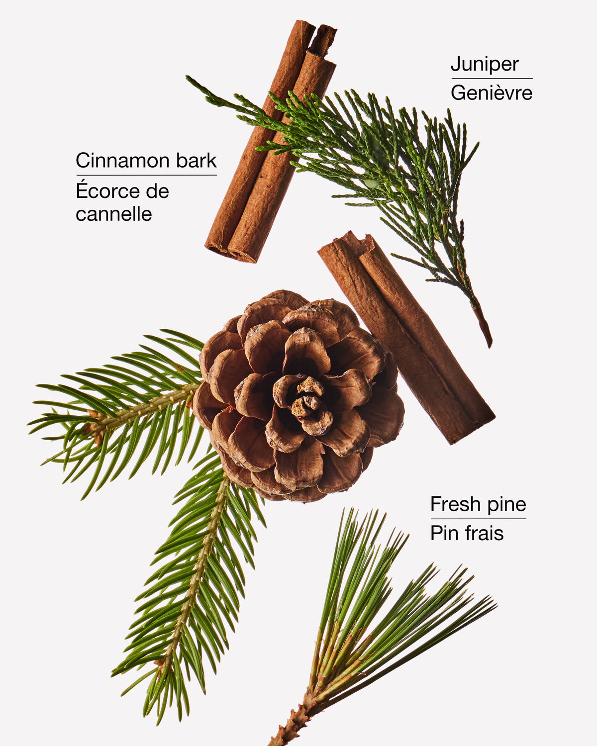 Cinnamon Pinecone 3-Wick Candle image 3