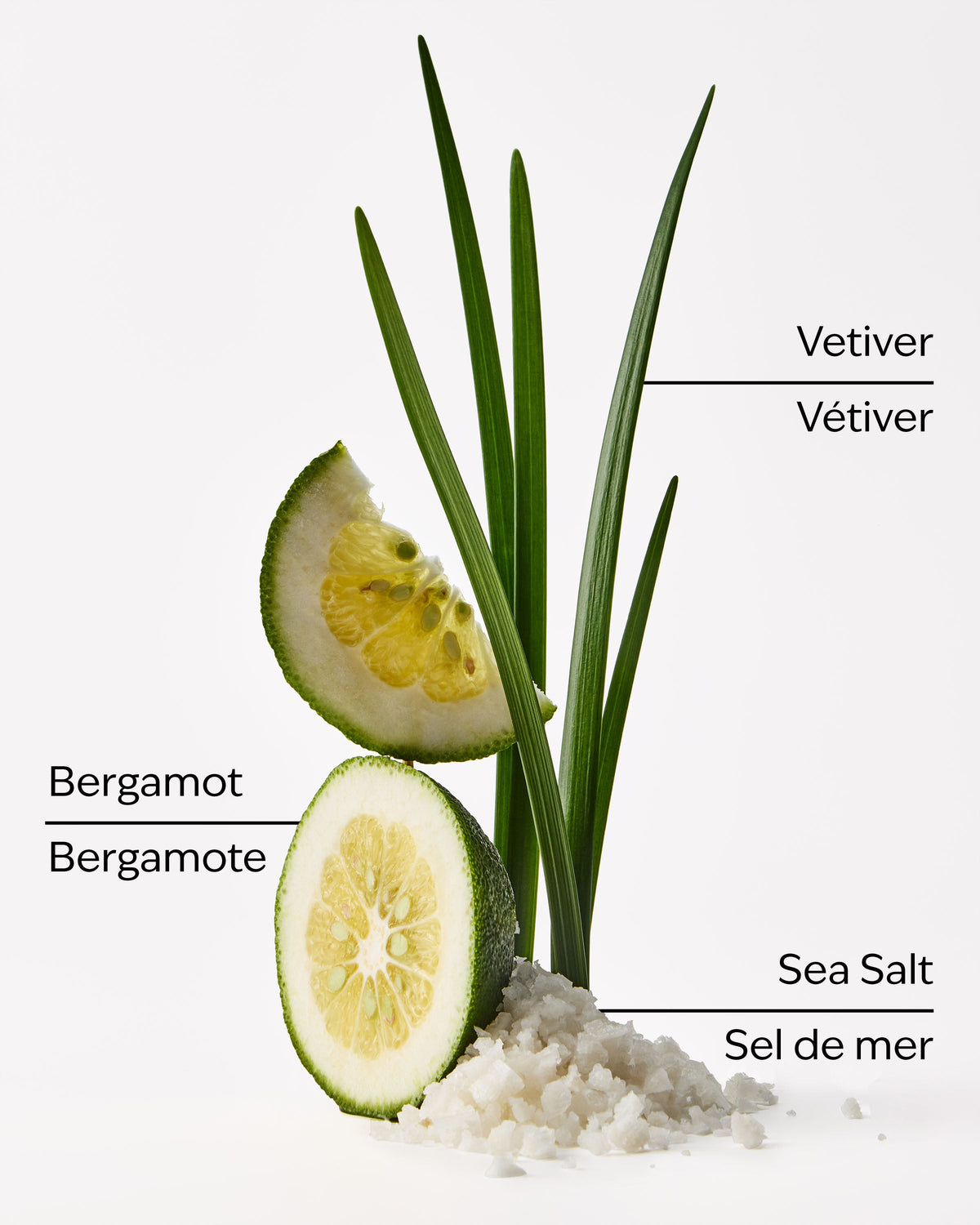 Sea Salt + Musk Wallflowers Fragrance Refill image 2