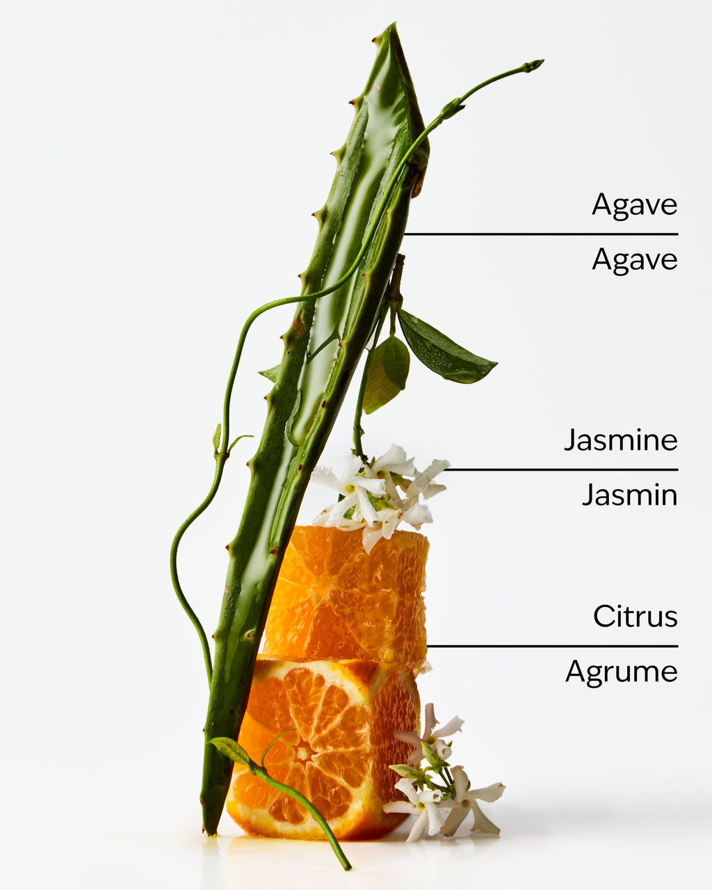 Sweet Orange + Agave Wallflowers Fragrance Refill image 2