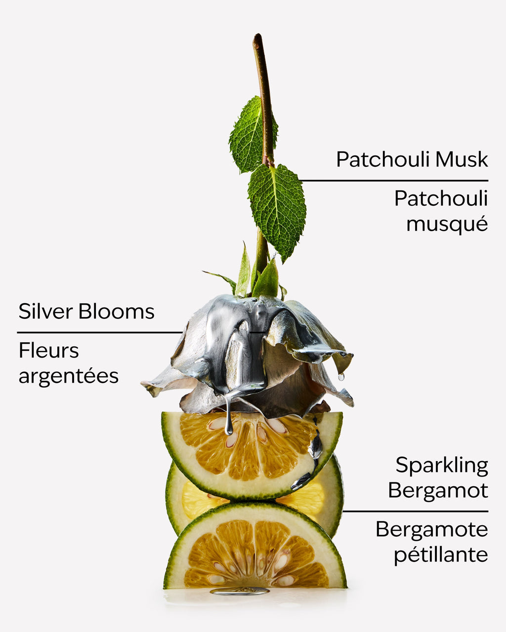 Platinum Body Butter image 2
