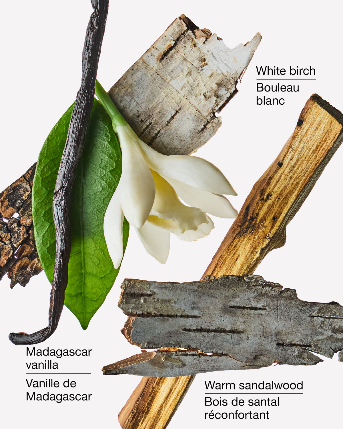 Vanilla Birch 3-Wick Candle image 3